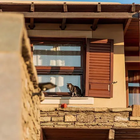 Cavo D' Oro Korissia (Kea)